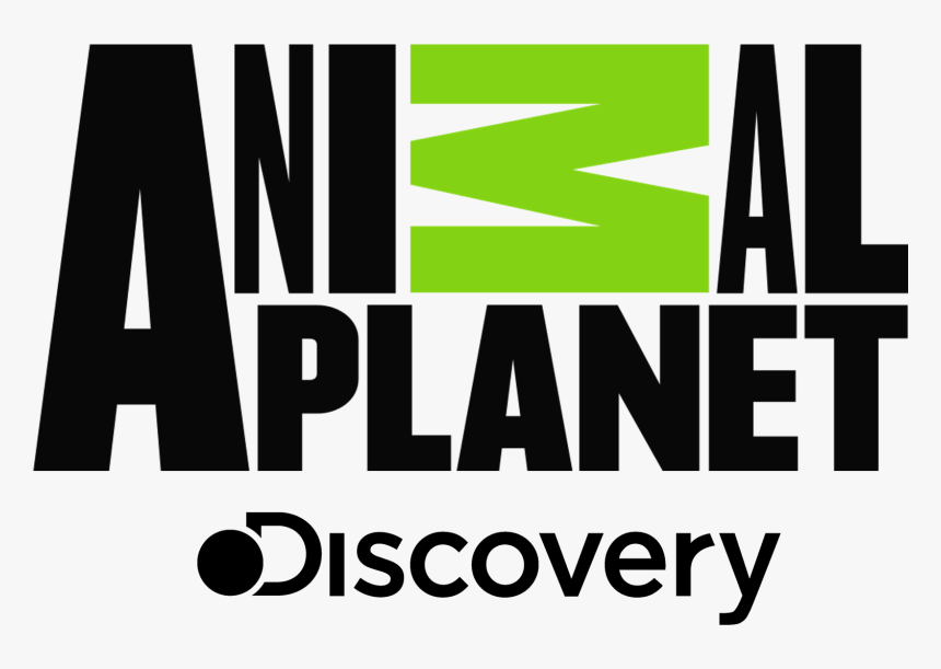 animal planet logo